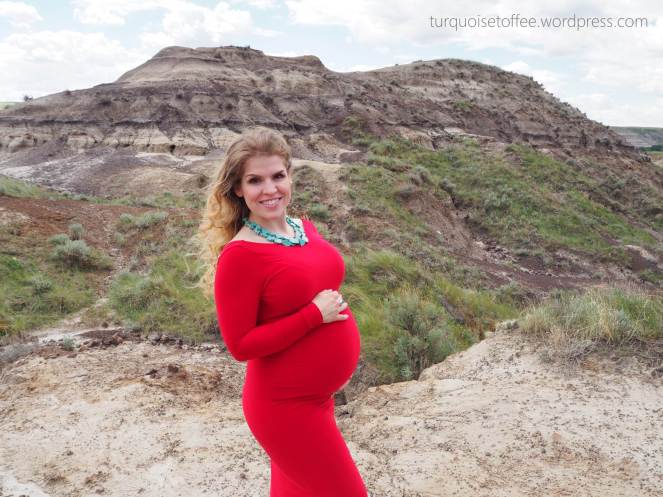 Badlands Desert Maternity Photo Shoot